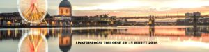 linkedin local toulouse
