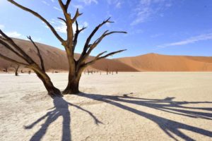 reve namibi recompense